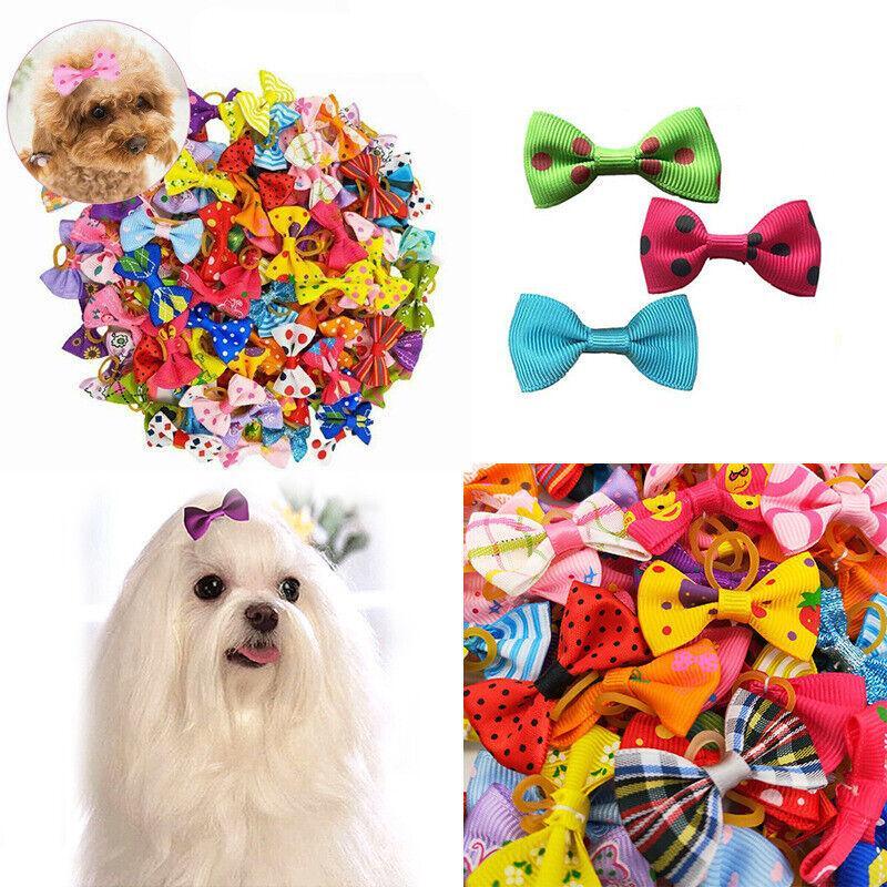 Assorted Dog Hair Bows