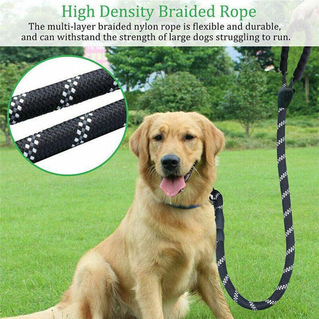 Strong Nylon Training Dog Leash