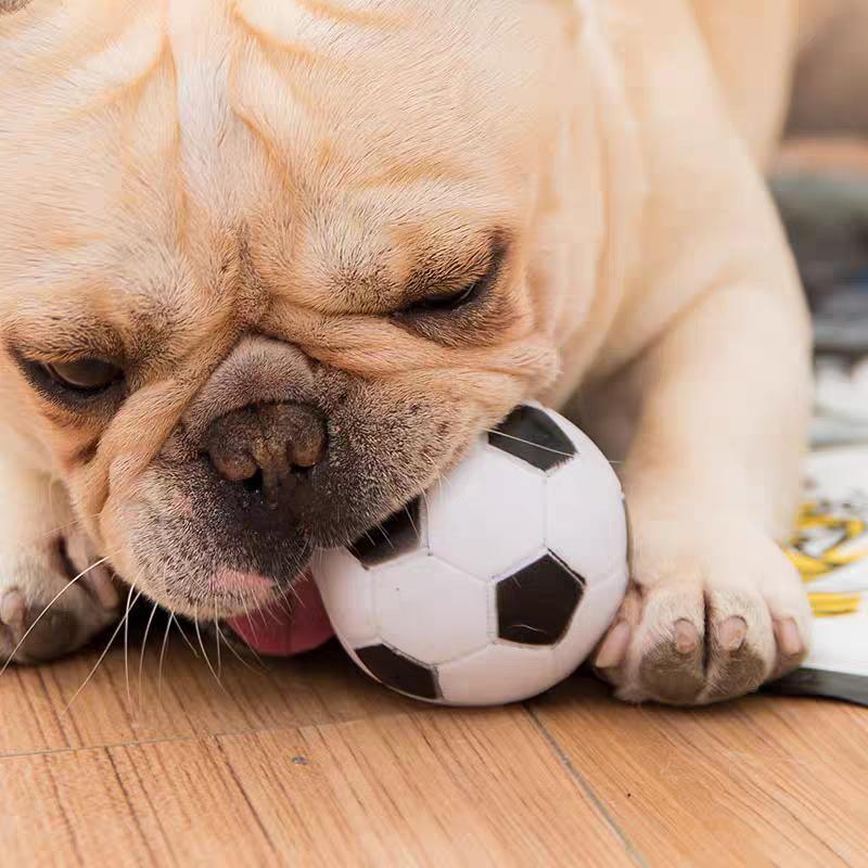 Durable Dog Rubber Balls for Fetch and Play