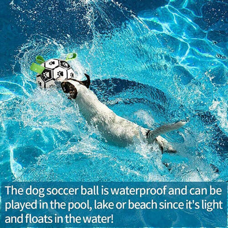 Dog happily playing with an Interactive Dog Soccer Ball outdoors