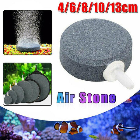 High-quality aquarium air stones for oxygenation in fish tanks and aquatic systems.