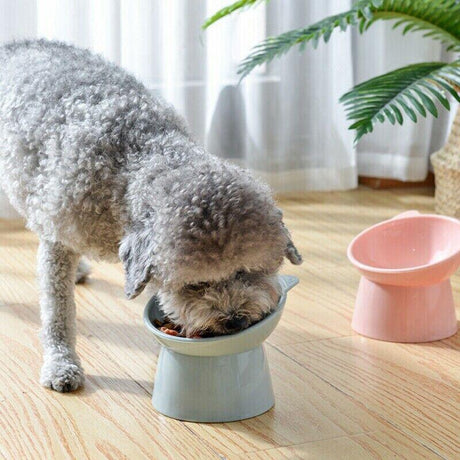 Anti-Vomiting Elevated Dog Food Bowl