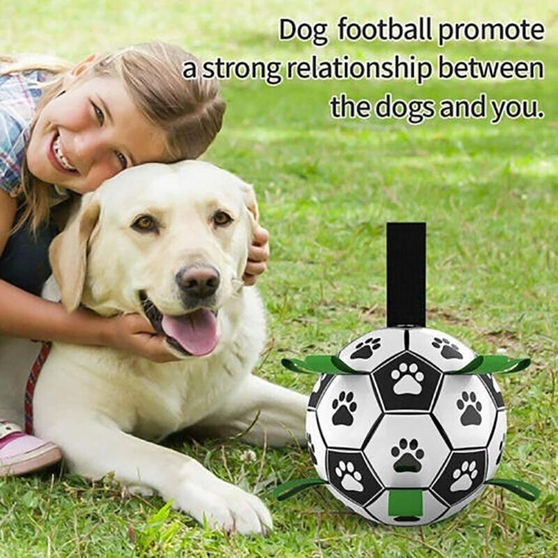 Dog happily playing with an Interactive Dog Soccer Ball outdoors