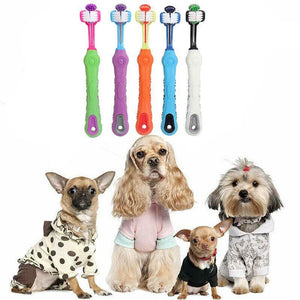 Three Sided Dog Toothbrush 5 Colours