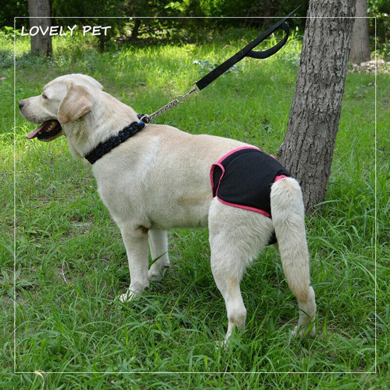 Comfortable and Reusable Dog Diapers for Female Dogs