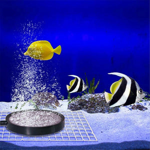 8Pcs Durable Fish Grid Dividers 30*15*0.6cm Black & White