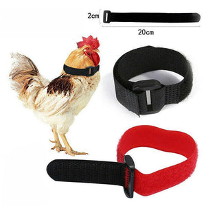 10pcs Chicken Neck Belt Nylon 2 Colours