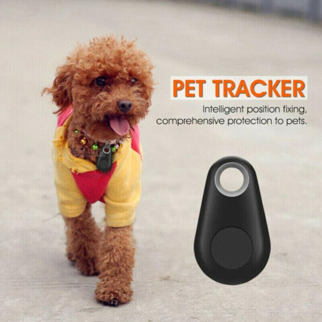 Compact and reliable GPS Pet Tracker for real-time location tracking of pets