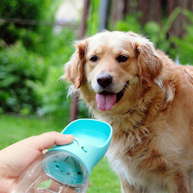 Hybrid Outdoor Dog Water Bottle