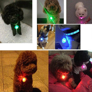 LED Pet Collar Pendant Leash Light for Night Safety