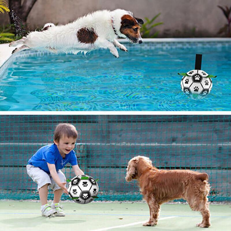 Dog happily playing with an Interactive Dog Soccer Ball outdoors