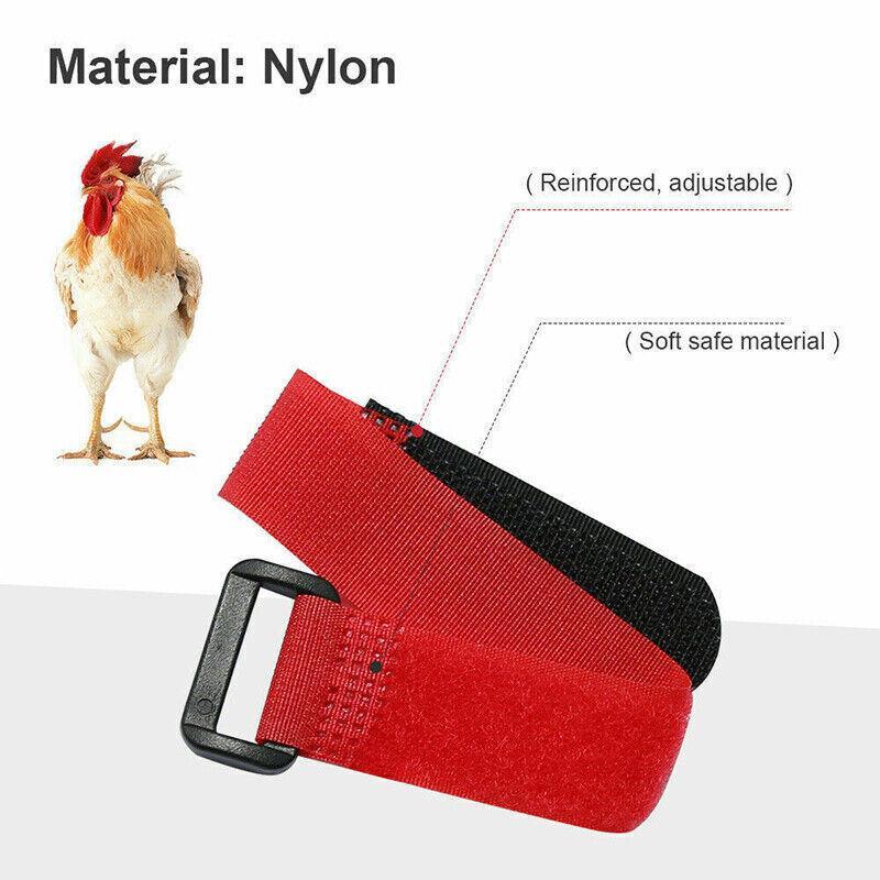 10pcs Chicken Neck Belt Nylon 2 Colours