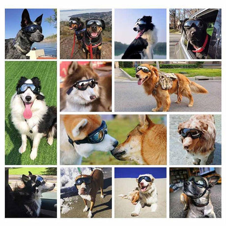 Stylish and Protective Dog Goggles for Pet Eye Safety