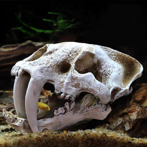 Fish Tank Saber Tooth Tiger Skull Hide Ornament