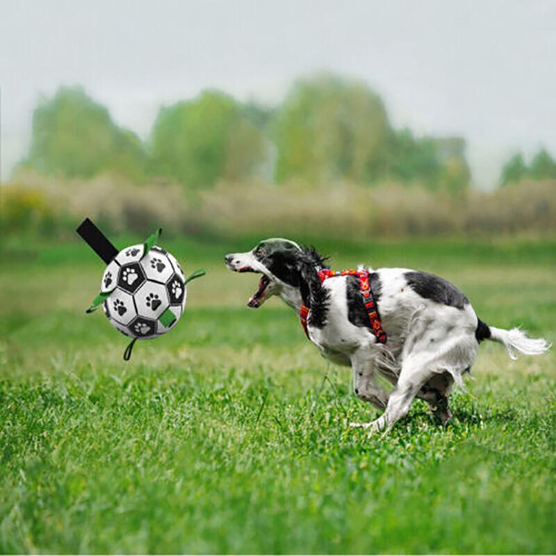 Dog happily playing with an Interactive Dog Soccer Ball outdoors