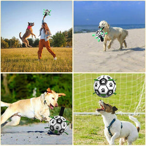 Dog happily playing with an Interactive Dog Soccer Ball outdoors