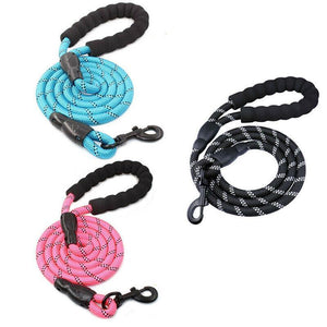 Strong Nylon Training Dog Leash