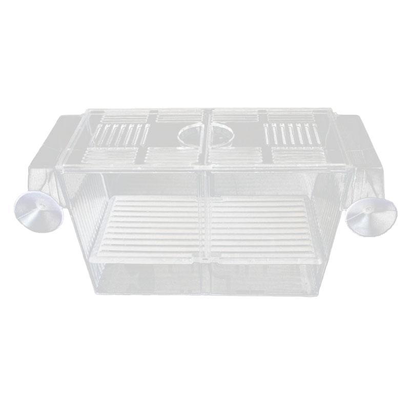 Aquarium Breeder Rearing Isolation Box 22x9.6x10cm