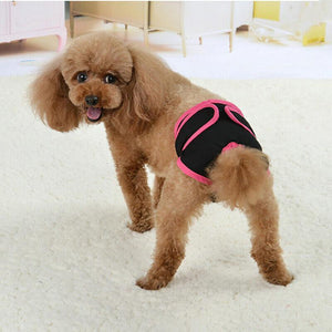 Comfortable and Reusable Dog Diapers for Female Dogs