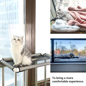 Durable Cat Window Hammock for comfortable and secure lounging