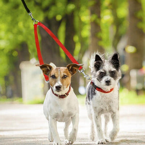 2-Way Double Dog Leash 3 Colours