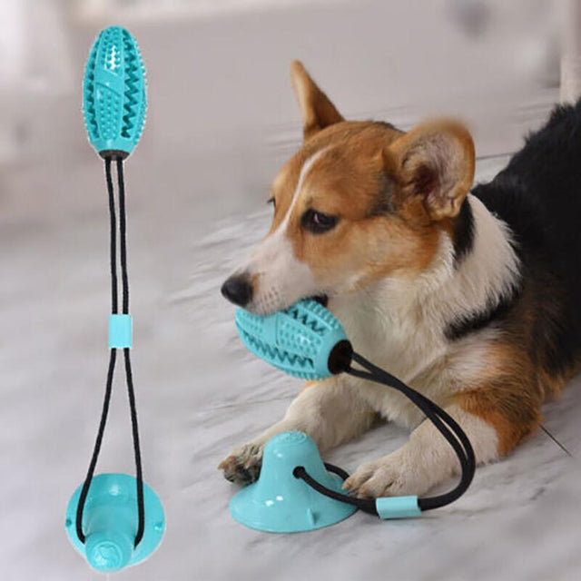 Interactive Floor Suction Cup Dog Chew Toy for Durable Play