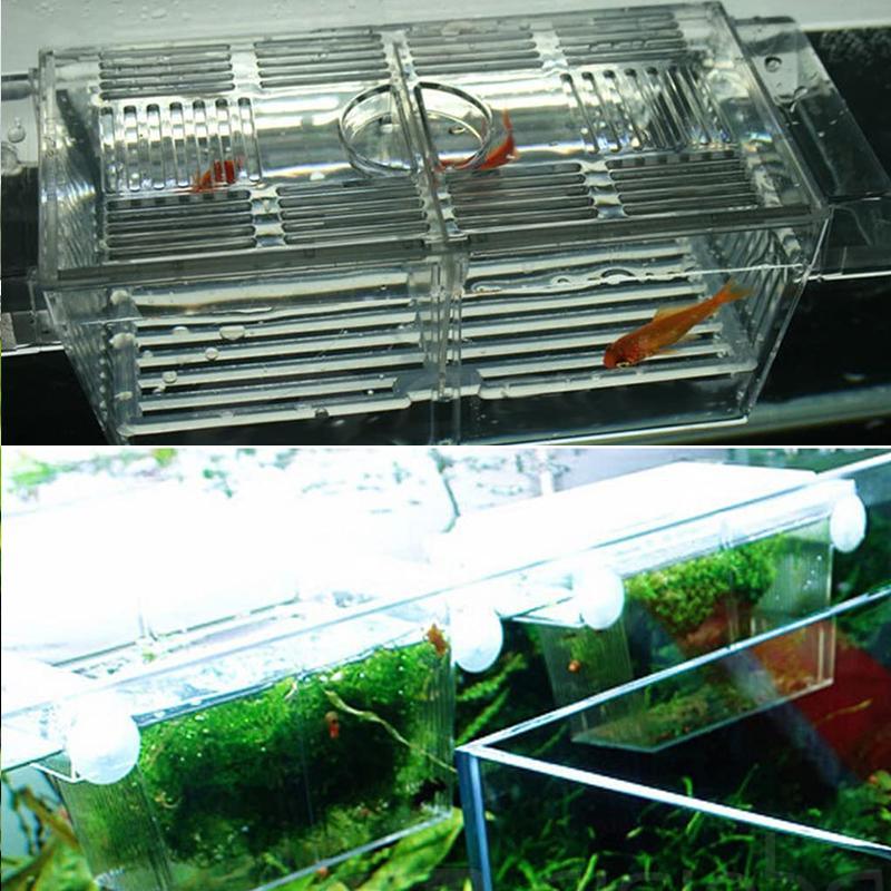 Aquarium Breeder Rearing Isolation Box 22x9.6x10cm