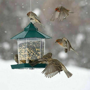 Garden Hanging Wild Bird Feeder