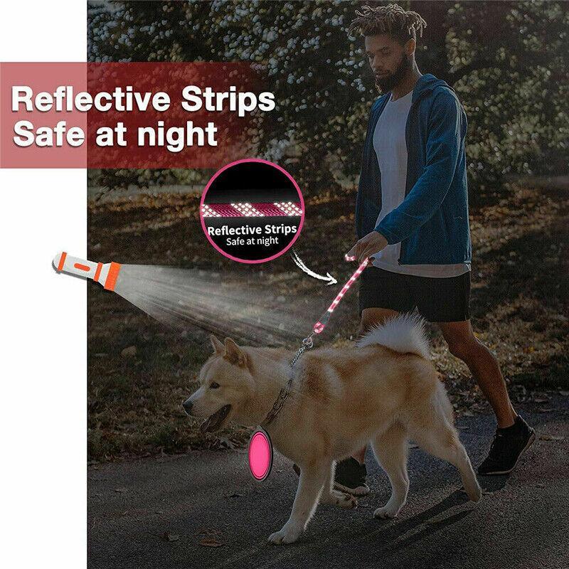 Strong Nylon Training Dog Leash