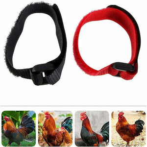 10pcs Chicken Neck Belt Nylon 2 Colours