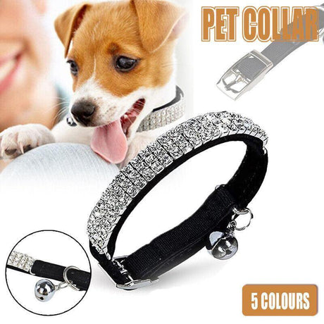 Designer Dog Collar - Suede Rhinestone Collar