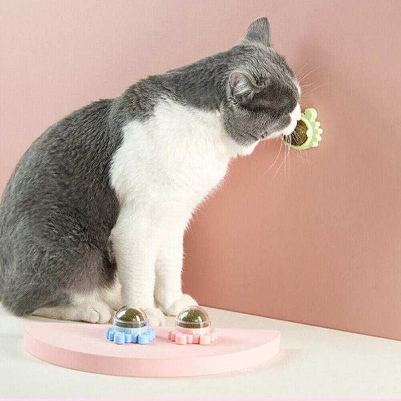 Rotatable Cat Mint Balls for Interactive Play