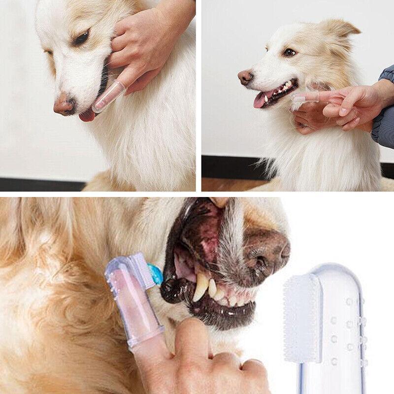 Close-up of a Puppy Finger Toothbrush for effective pet dental care