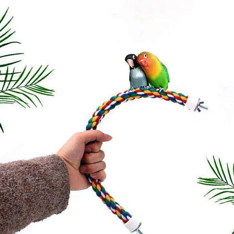 Colorful Standing Bird Perch for Birds