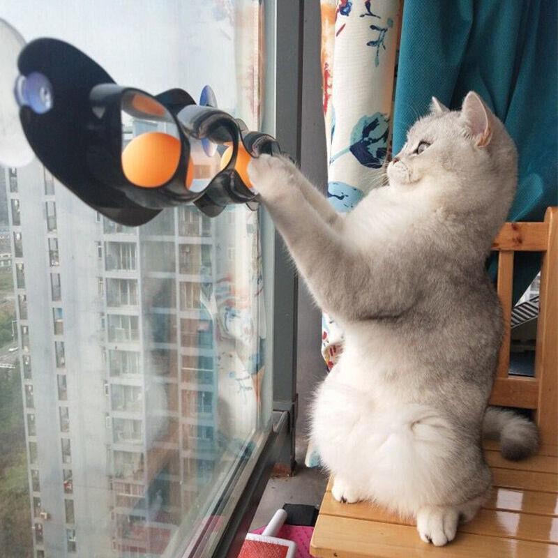 Cat playing with an interactive Suction Cup Cat Toy attached to a window