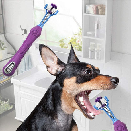 3-sided dog toothbrush