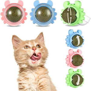 Rotatable Cat Mint Balls for Interactive Play