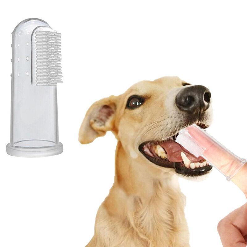 Close-up of a Puppy Finger Toothbrush for effective pet dental care