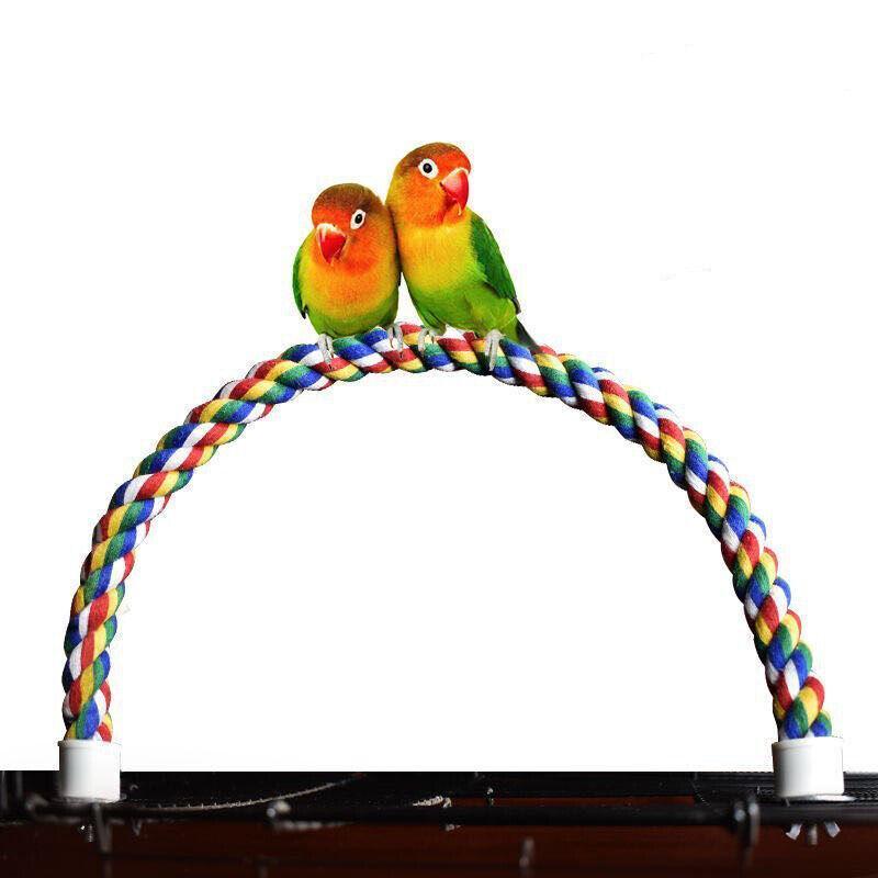 Colorful Standing Bird Perch for Birds