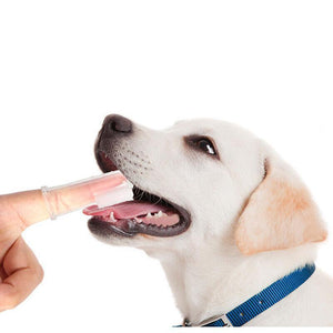 Close-up of a Puppy Finger Toothbrush for effective pet dental care