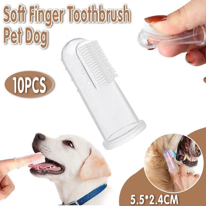 Close-up of a Puppy Finger Toothbrush for effective pet dental care