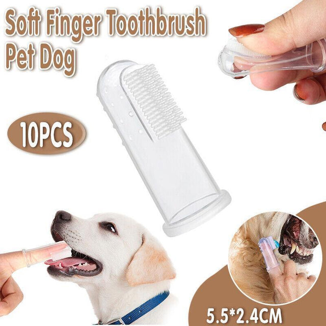 Close-up of a Puppy Finger Toothbrush for effective pet dental care