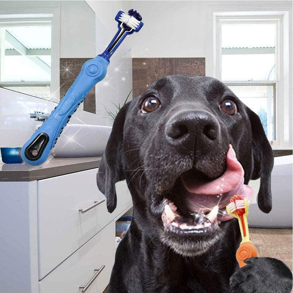 3-sided dog toothbrush