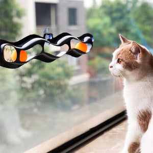 Cat playing with an interactive Suction Cup Cat Toy attached to a window