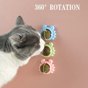 Rotatable Cat Mint Balls for Interactive Play