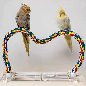 Colorful Standing Bird Perch for Birds