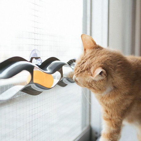 Cat playing with an interactive Suction Cup Cat Toy attached to a window