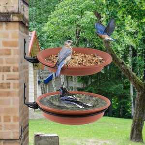 Versatile Hanging Bird Feeder for Outdoor Gardens