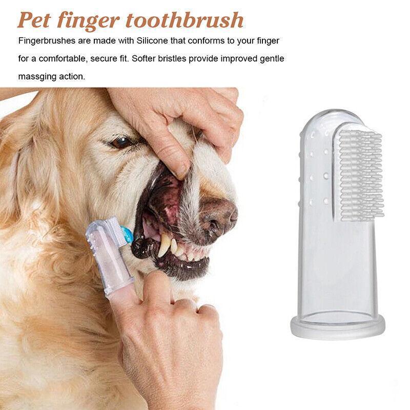 Close-up of a Puppy Finger Toothbrush for effective pet dental care