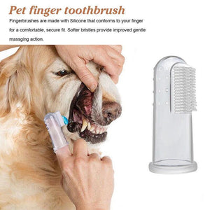 Close-up of a Puppy Finger Toothbrush for effective pet dental care